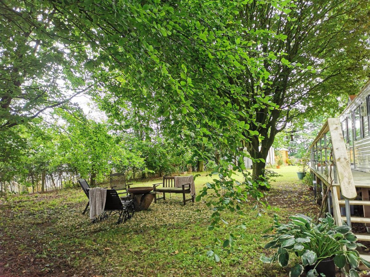 Doughery Den The Dark Hedges Hideaway Armoy Екстериор снимка