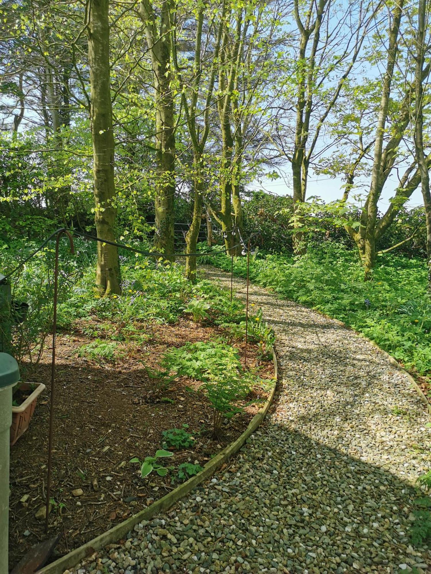 Doughery Den The Dark Hedges Hideaway Armoy Екстериор снимка